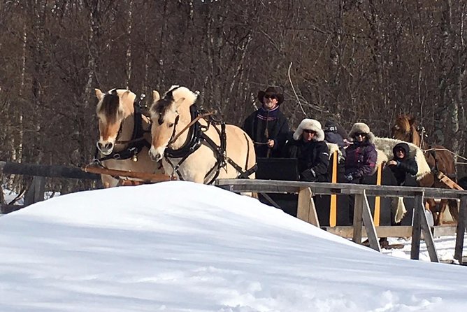 Sleigh Ride w/ Tapas Meal - Experience Arctic Farm Life - Price, timing, and practical value