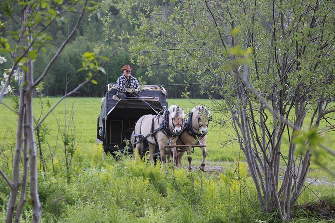 Sleigh Ride w/ Tapas Meal - Experience Arctic Farm Life - Clothing, comfort, and who should skip it