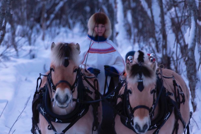Sleigh Ride w/ Tapas Meal - Experience Arctic Farm Life - Meeting the horses and sheep