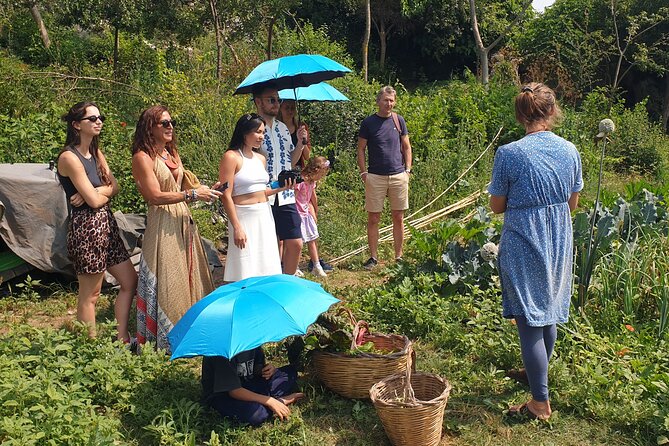 Slowlife Family Farm- Cook with us From Garden to Table Syracuse - Swimming in the river canyon