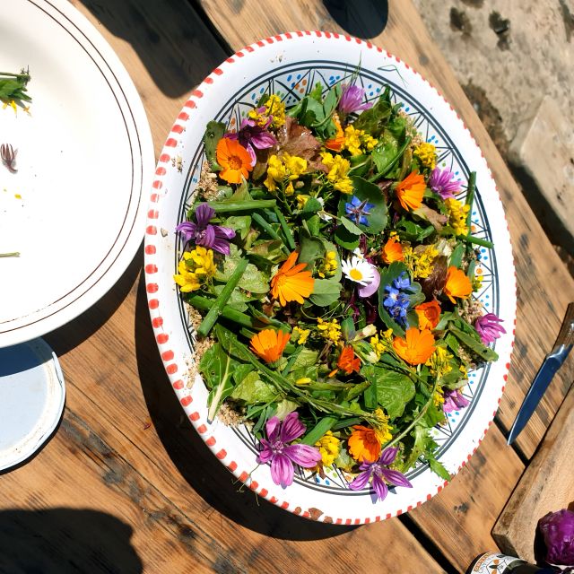 Slowlife Family Farm: From Garden to Table - Ancient Altars Beneath the Trees