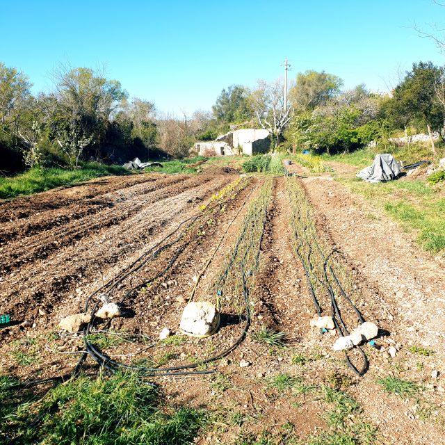 Slowlife Family Farm: From Garden to Table - The River, Canyon, and Old Water Mill