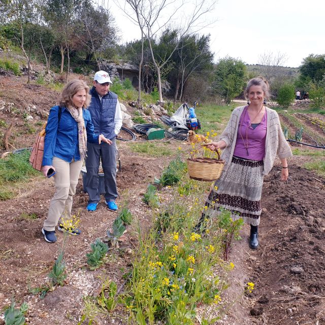 Slowlife Family Farm: From Garden to Table - Olive Oil, Wine, and the Farm Pantry