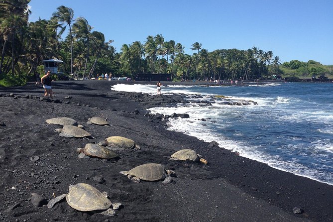 Small-Group Big Island Tour: Hawaii Volcanoes National Park and Kona Coffee Farm - Why this Big Island day trip works