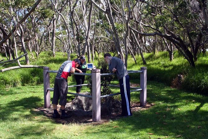 Small-Group Big Island Tour: Hawaii Volcanoes National Park and Kona Coffee Farm - The Thurston Lava Tube