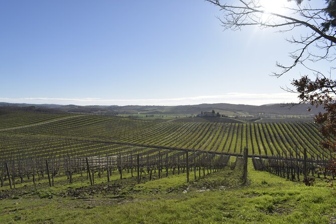 Small Group E-Bike Chianti Tour with farm lunch from Siena - What makes this Chianti ride worth considering