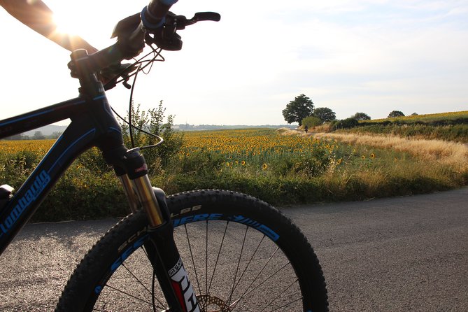 Small Group E-Bike Chianti Tour with farm lunch from Siena - Monteriggioni, a fortress town with a short visit