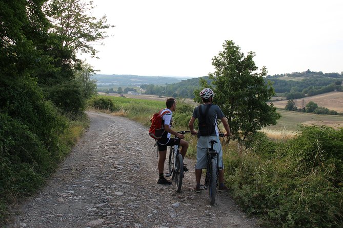 Small Group E-Bike Chianti Tour with farm lunch from Siena - Farm lunch, wine, and olive oil