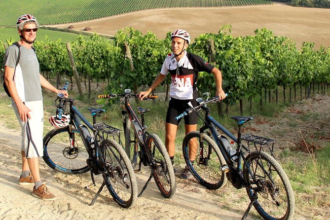 Small Group E-Bike Chianti Tour with farm lunch from Siena - Is $216.25 a fair price?