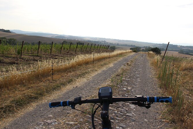 Small Group E-Bike Chianti Tour with farm lunch from Siena - Three hours among Chianti vineyards and olive groves