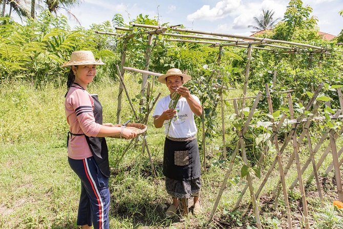Small-Group Farm Tour & Balinese Cooking Class in Ubud with Kadek - A thoughtful break before cooking