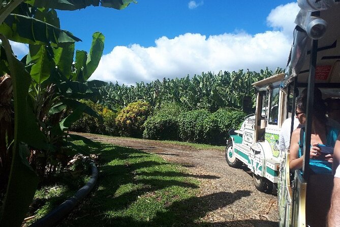 Small train tour of a banana farm in Martinique - A small train into Le Lamentin’s farming country