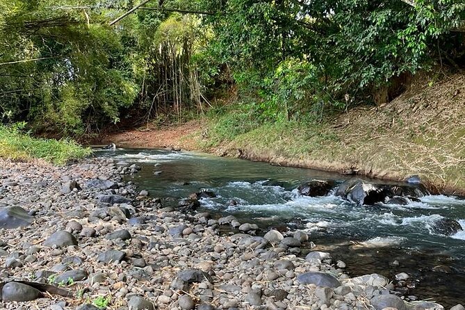 Small train tour of a banana farm in Martinique - The tasting at the end