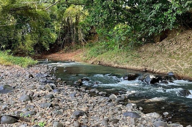 Small train tour of a banana farm in Martinique - Why this works well for families