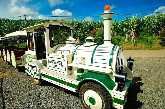 Small train tour of a banana farm in Martinique - Price, timing, and practical value