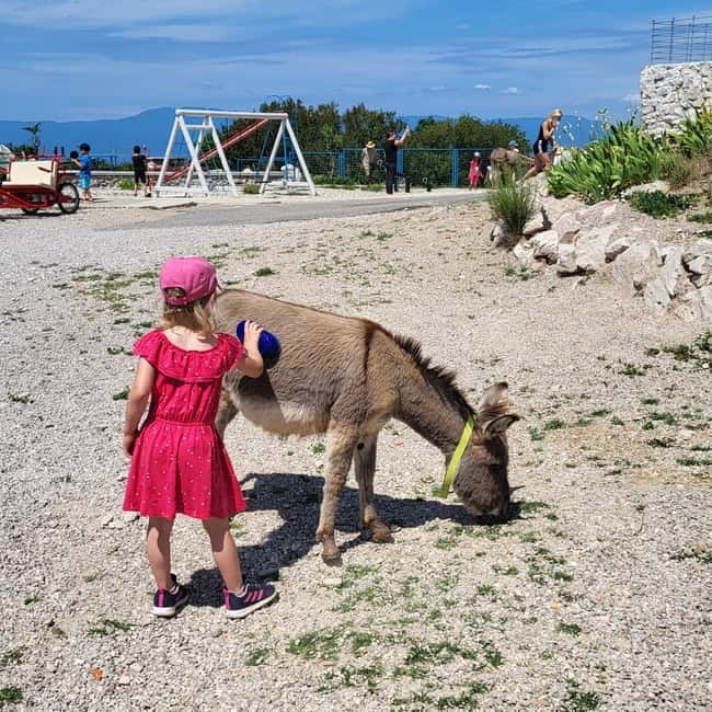 Šmrika (near Rijeka/Krk/Crikvenica) Donkey Farm Family Fun - Key Things to Know Before You Go