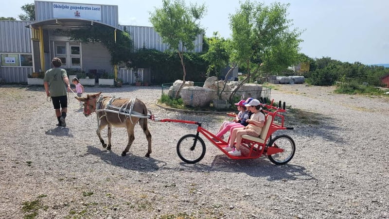 Šmrika (near Rijeka/Krk/Crikvenica) Donkey Farm Family Fun - Two Donkey Rides for Children Up to 35 Kilograms