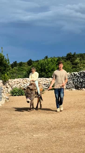 Šmrika (near Rijeka/Krk/Crikvenica) Donkey Farm Family Fun - Learning Why Croatian Donkeys Need Protection