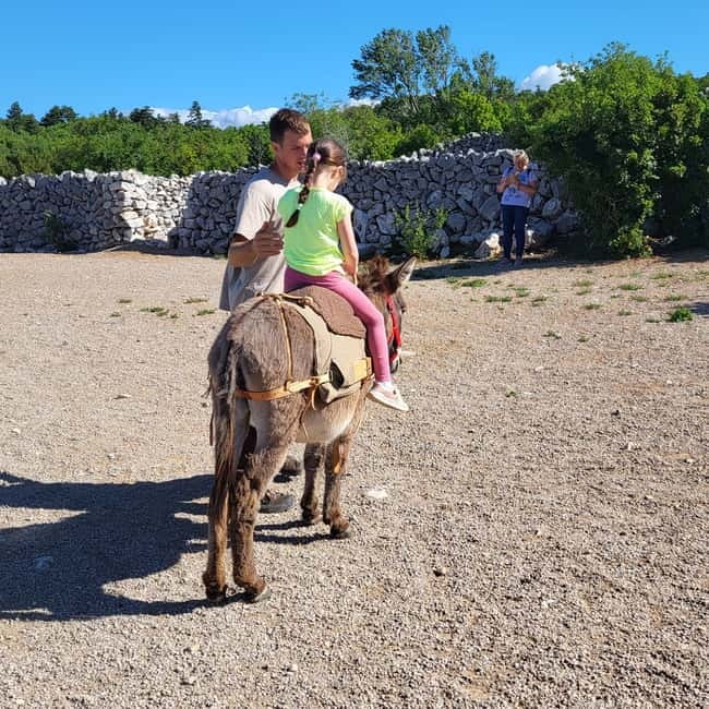 Šmrika (near Rijeka/Krk/Crikvenica) Donkey Farm Family Fun - Views, Benches, and Time to Slow Down