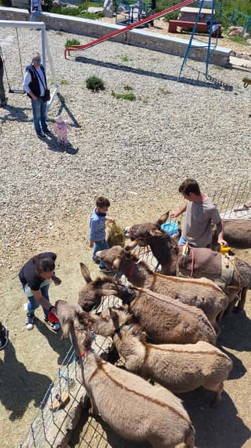 Šmrika (near Rijeka/Krk/Crikvenica) Donkey Farm Family Fun - Getting There From Rijeka, Krk, or Crikvenica