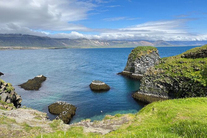 Snæfellsnes in Spanish with lunch on a farm Minibus - Lýsuhóll: homemade food and Icelandic horses