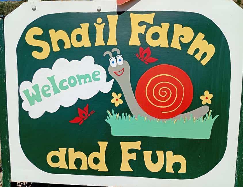 Snail and olive farm tour with table olives & homemade sweet - Why this small Cretan farm is worth your time