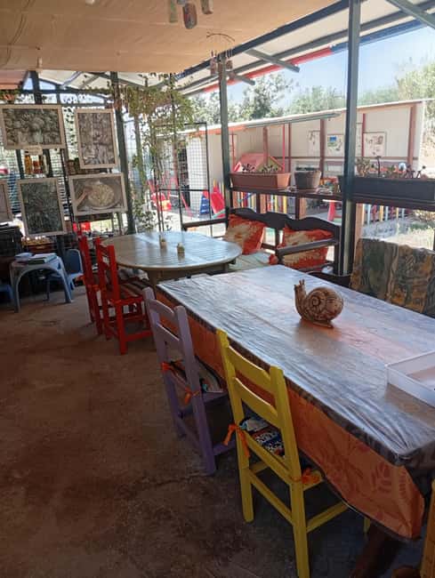 Snail and olive farm tour with table olives & homemade sweet - From snails to olive trees