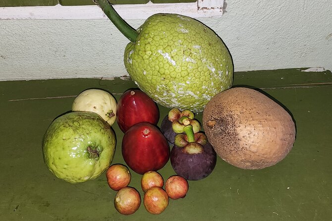 Soma Garden All Inclusive Tropical Fruit Farm Tour - One hour at Mermaid’s Pool
