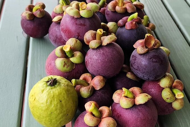 Soma Garden All Inclusive Tropical Fruit Farm Tour - Booking advice, timing, and refunds
