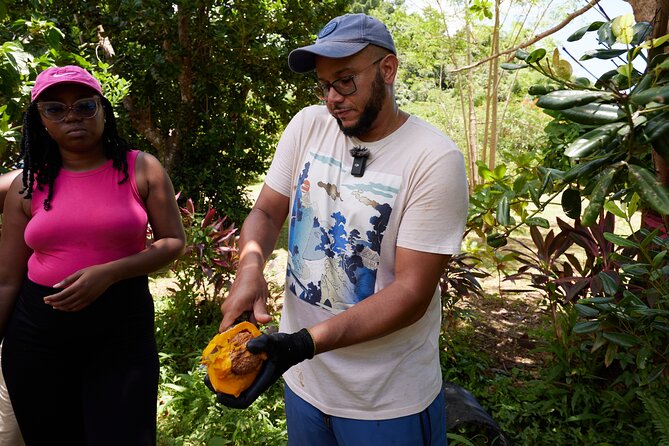 Soma Garden All Inclusive Tropical Fruit Farm Tour - The 90-minute walk through Soma Garden
