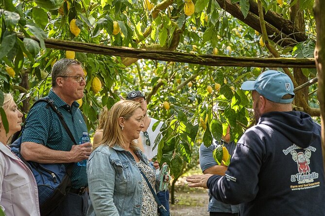Sorrento Ape Tour, Lemon Garden, Mozzarella Show & Pizza Class - Who will enjoy this Sorrento food tour most