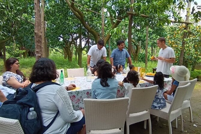 Sorrento: Authentic Lemon Experience at a Farm with Tastings - Marmalade, limoncello, and homemade farm flavors
