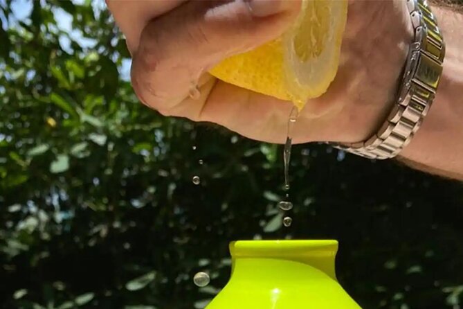 Sorrento: Authentic Lemon Experience at a Farm with Tastings - A small group with time for questions