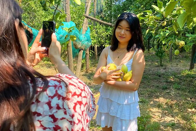 Sorrento: Authentic Lemon Experience at a Farm with Tastings - Who will enjoy this farm experience most