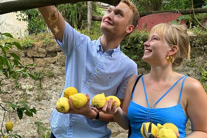 Sorrento: Authentic Lemon Experience at a Farm with Tastings - Making lemonade from lemons you picked