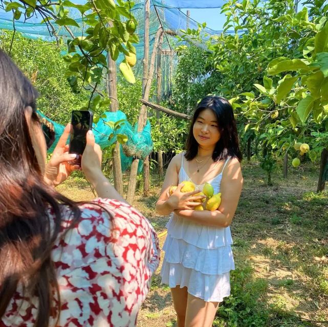 Sorrento: Authentic Lemon Experience in a Farm with Tastings - Picking fruit with a basket and pruning scissors