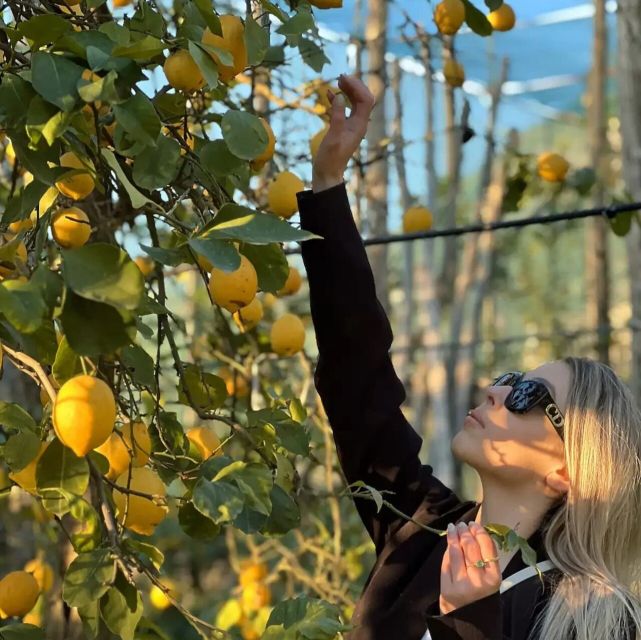 Sorrento: Authentic Lemon Experience in a Farm with Tastings - Marmalade, limoncello, and the farm’s local flavors