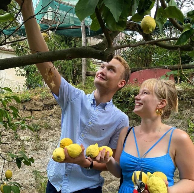 Sorrento: Authentic Lemon Experience in a Farm with Tastings - What the $73 price gets you