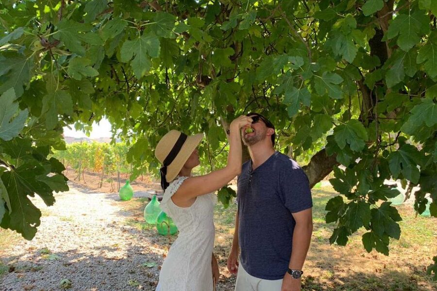 Sorrento: Family Farm Experience with Lunch - Key points to know before booking