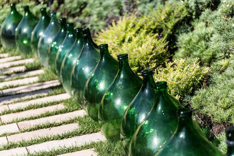Sorrento: Family Farm Experience with Lunch - Olive oil, vineyards, and the work behind the table