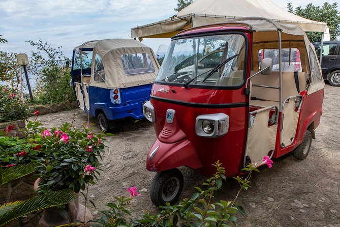 Sorrento Farm by Tuk Tuk: Cheese, Limoncello & Hands-On Pizza - Is the $211.02 price fair?