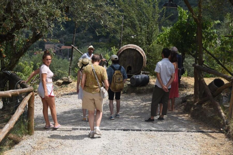 Sorrento Farm Experience: Pizza, Cheese, Wine & More - A sustainable farm with D.O.P. certification