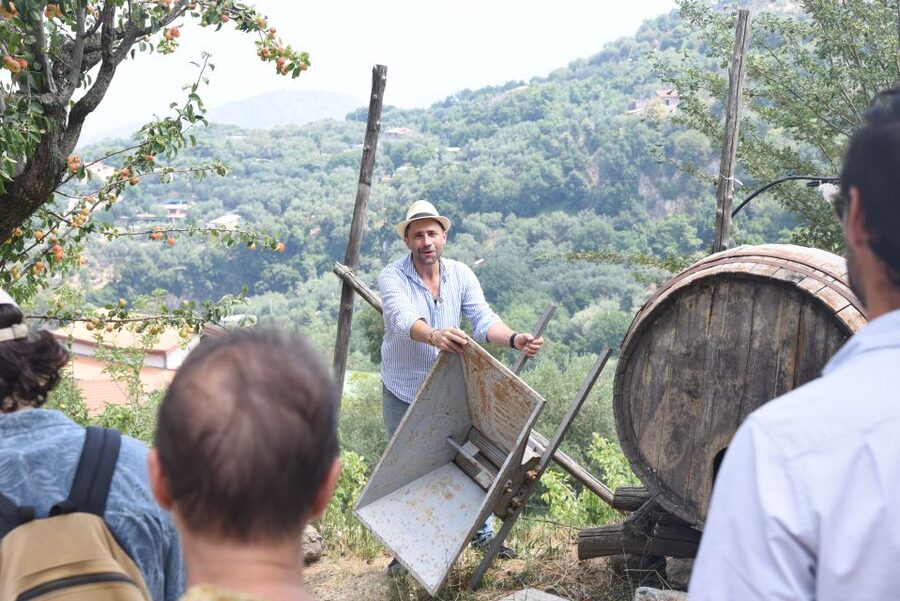 Sorrento: Farm Tour with Cheese Tasting & Pizza Making Class - Why this Sorrento farm visit is worth your afternoon