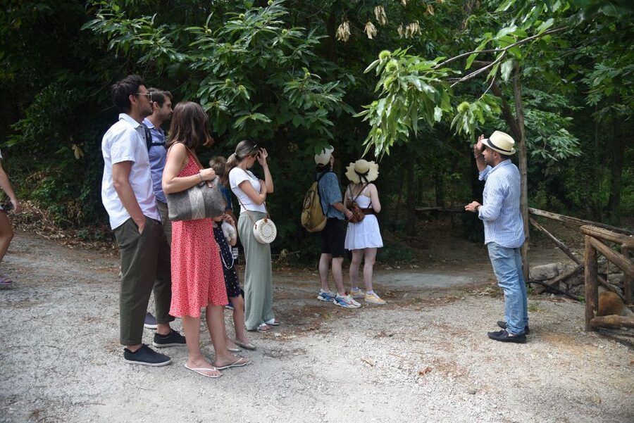 Sorrento: Farm Tour with Cheese Tasting & Pizza Making Class - Practical planning for your four hours