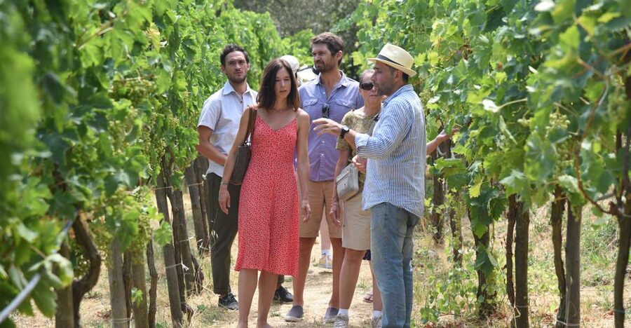 Sorrento: Farm Tour with Cheese Tasting & Pizza Making Class - Primaluce: a farm between sea and mountain