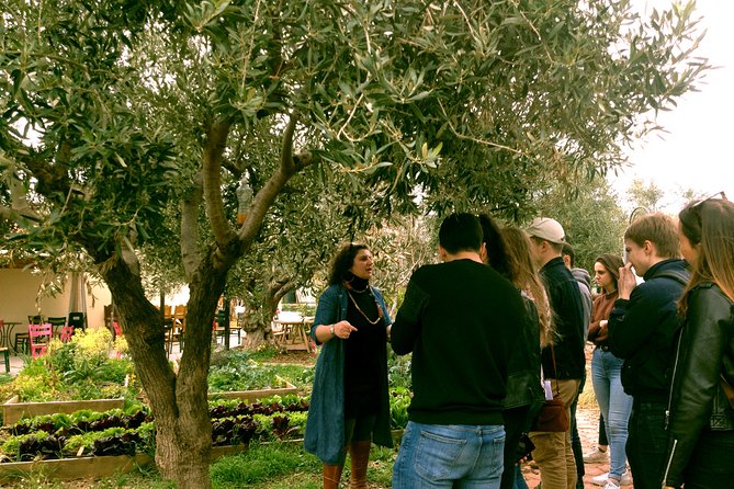 Sounion Highlights: Vouliagmeni, Olive Farm, Poseidon Temple, Thorikos Theatre - The organic farm lunch near Sounion