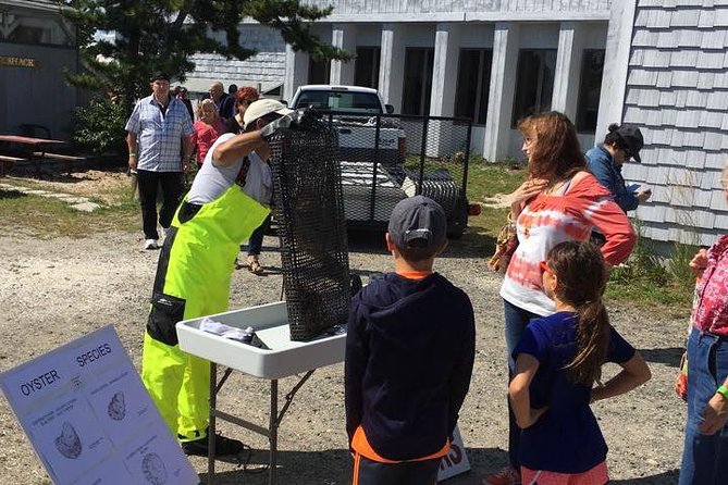Southold Bay Oyster Farm Tour - Who will enjoy this most