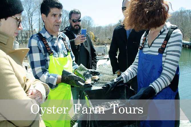 Southold Bay Oyster Farm Tour - From hatchery spawning to baby oysters