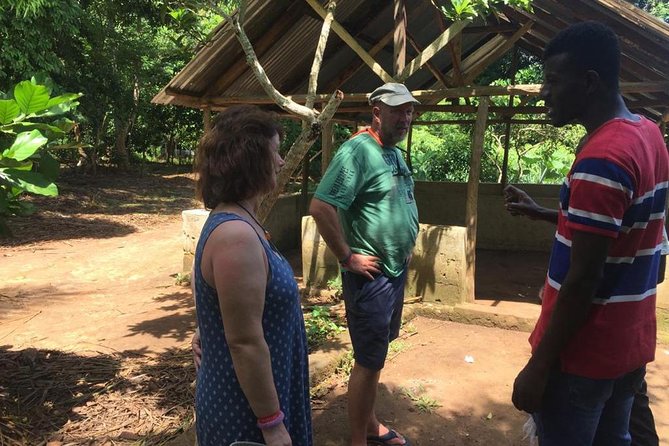 Spice Farm and Jozani Forest Private Tour - Jozani Chwaka Bay National Park and the red colobus monkey