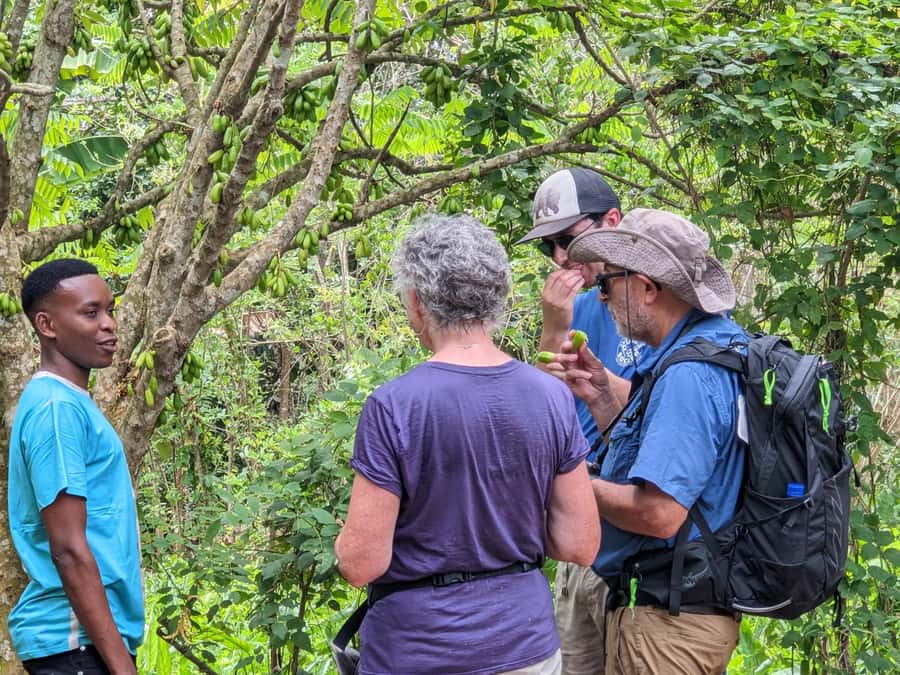 Spice Farm Bike Tour: Pedal Through Aromatic Adventures - Starting From Stone Town by Bicycle